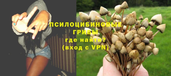 тгк Липки